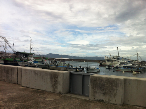 IMG_3634.jpg
