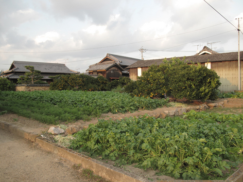 teshima_11_4.jpg